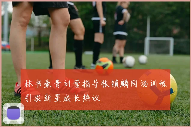 林书豪青训营指导张镇麟同场训练引发新星成长热议