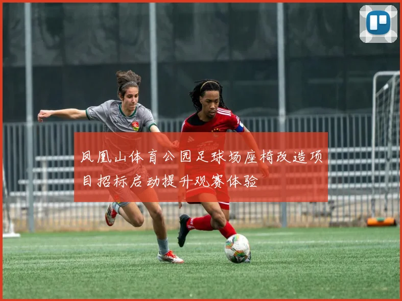 凤凰山体育公园足球场座椅改造项目招标启动提升观赛体验